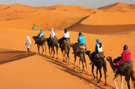In the morning we will ride the camels backing to merzouga, you'll have the breakfast and shower in the hotel in merzouga. Merzouga Desert Camel Ride Trekking In Morocco Desert Tours Morocco