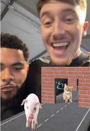 The frog one is impossible 🐸