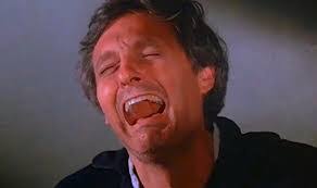 Shawn Rayburn's Instagram, Twitter & Facebook