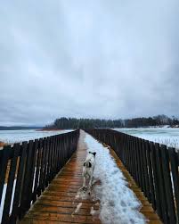 There's a reason Boardwalk is the most sought after in Monoply! Winter  magic