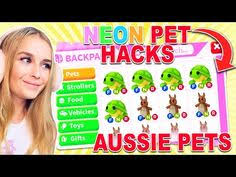 You have to use adopt me building hacks with roblox adopt me money codes 2021. Pets On Adopt Me