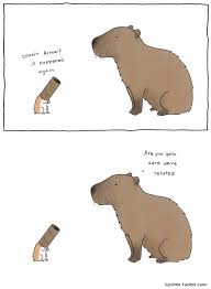 Hi I M Liz Photo Funny Animal Comics Cute Comics Liz Climo Comics