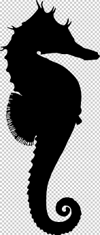 See more ideas about drawings, animal drawings, silhouette drawing. Horse Silhouette Drawing Png Clipart Animals Animal Silhouettes Art Bigbelly Seahorse Black And White Free Png