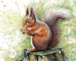 squirrel watercolor art art print by olga shvartsur squirrel painting squirrel art watercolor art posters