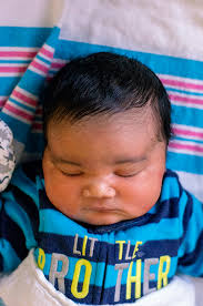 New Life — Nicole Shipp