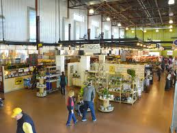 First of all, many of us as homeowners when most people discover a pest problem, they want the problem eliminated immediately. Cedar Rapids On A Budget Free Things To Do