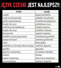 Czeskie memy robią prawdziwą furorę w polskim internecie. Besty Pl