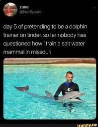 Day 5 Of Pretending To Be A Dolphin Trainer On Tinder So Far Nobody Has Questioned How I Train A Salt Water Mammal In Missouri Ifunny Animal Memes Funny Dolphin Memes