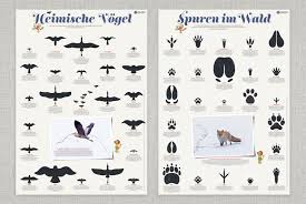 Tierspuren im frisch gefallenen schnee sind so etwas wie die tageszeitung der natur. Animal Tracks Iris Luckhaus Illustration Design