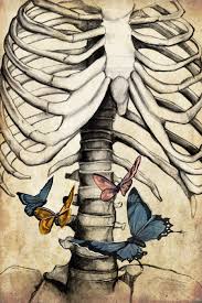 You Still Give Me Butterflies Etsy In 2020 Anatomy Art Human Anatomy Art Butterfly Art