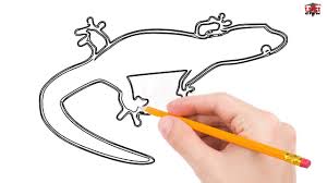 We tried to keep this lesson short and simple. How To Draw A Lizard Step By Step Easy For Beginners Kids Simple Lizards Drawing Tutorial Youtube