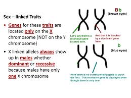 3>autosomal recessive is one of several ways that a trait, disorder, or disease can be passed down through families. Sex Linked Traits Genes For These Traits Are Located Only On The X Chromosome Not On The Y Chromosome X Linked Alleles Always Show Up In Males Whether Ppt Download