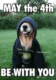 Happy Star Wars Day Dog Goldenretriever Starwars Maythefourthbewithyou Jedi Dogs Golden Retriever Happy Star Wars Day Golden Retriever