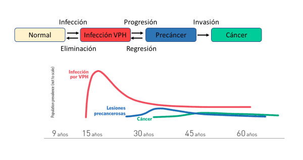 ASAMBLEA LEGISLATIVA DE LA REPÚBLICA DE COSTA RICA PROYECTO DE LEY LEY PARA LA ELIMINACIÓN DEL CÁNCER DE CÉRVIX EN COSTA RIC