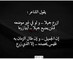 من زرع حصد words quotes cool words quotes