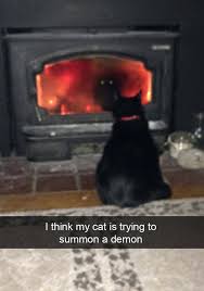 Cat Summoning Satan Funny Animal Jokes Really Funny Memes Funny Cat Memes