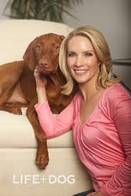 Dana Perino Co Host Of Fox News Channel S The Five With Her Dog Jasper Stay In Touch With Dana And Up To Date W Dana Perino Fox News Anchors Fox News Channel
