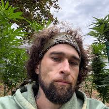 What are the worm-like creatures in my raised bed garden in Boise Idaho?