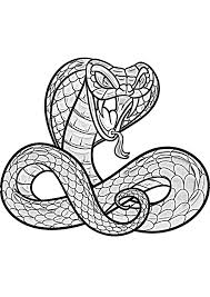 There are many different kinds of snake species in nature, and they come in all different kinds of shapes, styles, and of course colors. Snake Coloring Pages 110 Images The Largest Collection Print Or Download For Free Razukraski Com