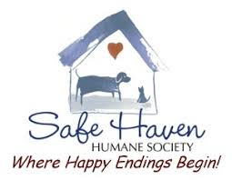 Any incoming strays should be directed to the local animal control officer for proper processing. Pets For Adoption At Safe Haven Humane Society In Ionia Mi Petfinder