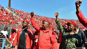 Stop effing around and get to work!eff you, you lout! Malema S Eff Stirs Political Upheaval In South Africa Africa Dw 22 08 2014