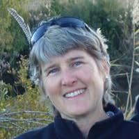 Glowfly Dance by Jade Gibson