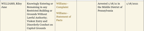 .romantic partner of riley june williams of pennsylvania identified williams to the fbi in video the tipster stated that williams intended to send the computer device to a friend in russia, who then. Qs Lvn Ecieljm