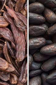 Carob Vs Chocolate What S The Difference Carob Nutrition Recipes Chocolate Alternatives