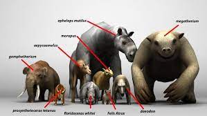 Was The Giant Ground Sloth Really The Biggest Prehistoric Animal Ever Djur Daggdjur