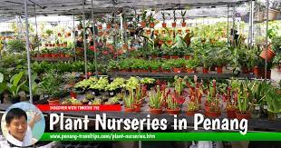 You can read the reviews for this garden center above, and if you're feeling opinionated, write one. Plant Nurseries In Penang
