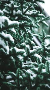 Iphone Christmas Aesthetic Wallpapers Wallpaper Cave