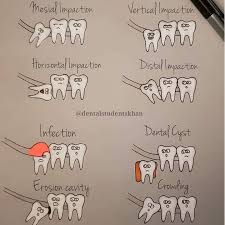 Complete Dental Hygienist Wallpaper Teethwhiteningtrainer Toothextractiontips Dental Hygiene Student Dental Dental Assistant Study