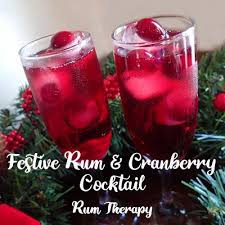 Alone this rum has notes of. Festive Rum Cranberry Cocktail Rum Therapy