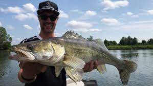 √√ = aktiv und gut fängig. Ist Heute Ein Gutes Angelwetter Zum Zanderangeln