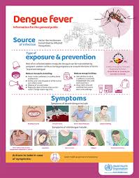 Image result for Dengue