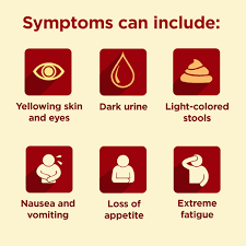 Image result for hepatitis symptoms