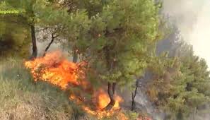 Jun 15, 2021 · δυτ. Gp9sglzeg6nagm