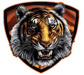 Bonneville Varsity Football @ Ogden