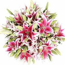 Order flowers online and discount flowers i will definitely use bloomex again and would highly recommend to a friend. Bulk Flowers Costco