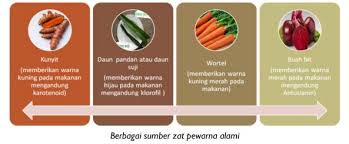 Zat Aditif Dalam Makanan Guru Sumedang