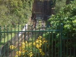 Named after the suburb it was located in, woollahra railway statio. Horse The Blog That Promises Nothing And Delivers Even Less Horse 2070 Woollahra Station The Hole Truth