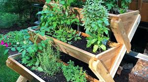 Vastu plants for home, thus, play a vital role in the functioning of the house. Vastu Tips Keep Green Colored Things In East Direction At Home Know Why Vastu News India Tv