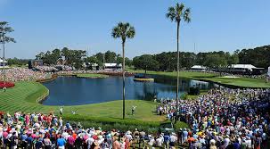 The entire players championship field is broken down below according to the golfweek/sagarins and the owgr. Players Championship Records At No 17