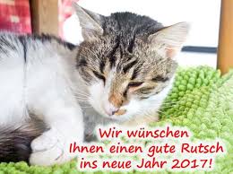 Wir wünschen euch allen einen guten rutsch, und. Guten Rutsch Ins Neue Jahr 2017 Arche Kanaum Stiftung Fur Tierschutz