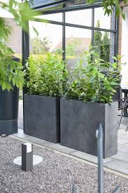 Pflanzkubel Raumteiler Eckkombination Fiberglas Corner 100 Anthrazit In 2020 Bepflanzung Gartenarchitektur Gartengestaltung