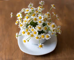 Long beach, ca local florist providing plants gifts & flowers send lasting smiles with a gift that will grow and flourish. The Official Birth Flowers For April Petal Republic