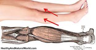 Scientists Explain Why Your Legs Cramp At Night And How To Fix It Leg Cramps At Night Leg Cramps Causes Nighttime Leg Cramps