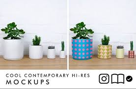 Planter Plant Pot Mockup Potted Plants Planters Color Schemes