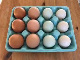 We've rounded up the 9 loveliest and simplest projects around. Decorating Blown Eggs My Pet Chicken Blog