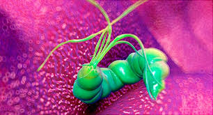 **one of the only apps that can test someone's bad breath** warning: What Your Breath May Say About Your Health